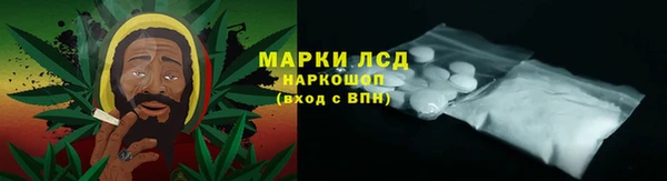 стаф Осинники