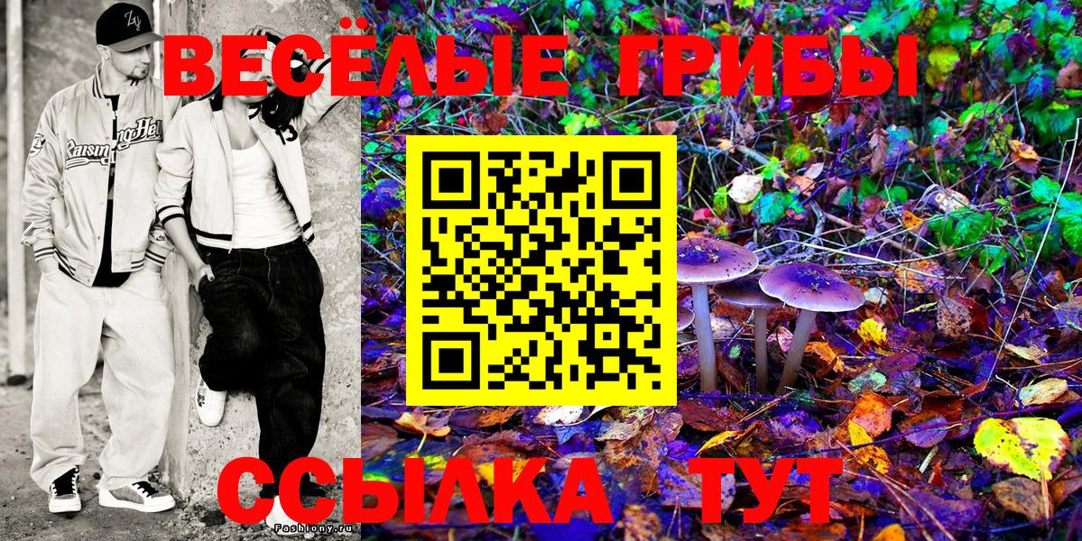 Урус-Мартан  Псилоцибиновые грибы Psilocybine cubensis  Вход с VPN  Галлюциногенные грибы ЛСД 