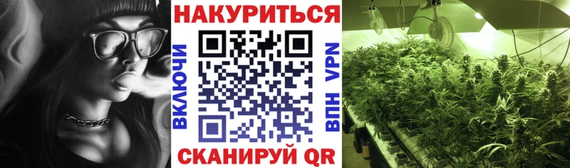 магазин    кракен маркетплейс  Бошки Шишки план  Урус-Мартан 